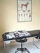 Salon-Bilder