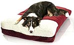 Hundebetten
