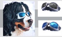 Hundesonnenbrillen von Dog-goes